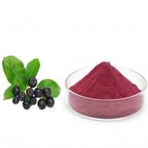 아로니아농축분말 1kg, 단품, 단품