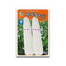 모칸도 제일종묘 박사찰 옥수수 80립