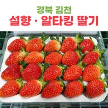 산지직송 김천 딸기 설향딸기 알타킹딸기 500g 1kg 2kg, 알타킹_20구