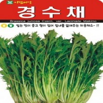 AR 경수채 미용채소 씨앗