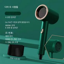 Holotap 음이온 헤어드라이어 휴대용 접이식 헤어드라이기 세트 1800W, 녹색