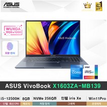 (당일발송) ASUS VIVOBOOK 16X X1603ZA-MB139 12세대 i5-12500H/8GB/256GB/Win11Pro/WUXGA/16인치, WIN11 Pro, 8GB, 256GB, 코어i5, 콰이어트 블루