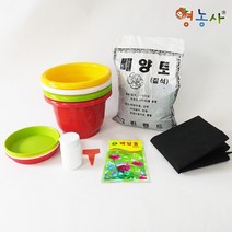 백일홍키우기 7종