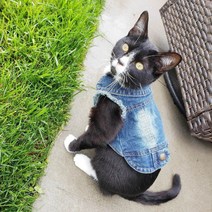 고양이 데님 옷 패션 코트 자켓 따뜻한 의상 사랑스러운 애완 동물 캐주얼 청바지, Style 10