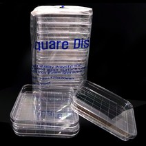 스퀘어 디쉬 멸균 사각 플라스틱 샬레 페트리 투명 패트리 접시 강낭콩 배양 키트 관찰 미생물 과학 실험, 스퀘어디쉬(사은품증정)