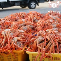[구룡포 집게사장] 구룡포 연지홍게 3kg 자숙 박달 홍게, 일반형2.5kg(7미내외/수율70%이상), 1개