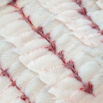 삼치회 여수 고흥 나로도 대삼치회 1.5kg 3kg, 완전손질 삼치회 1.5kg(실중량600g내외)