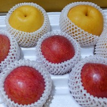 사과 나주배 실속 선물세트 사과5과+배5과, 2)사과5+배5 실속혼합세트(중과)