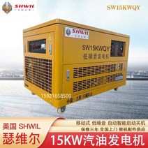 15kw 가솔린 발전기 저소음 American Serwell Machinery 브랜드 모바일 예비 차량, 정기적인