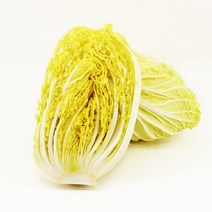 채선 아삭하고 달콤한 국내산 알배추, 5개, 00