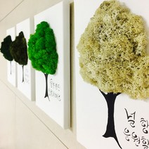 온향 천연이끼 나무액자(기본형) 18X26 공기정화식물 실내인테리어 스칸디아모스