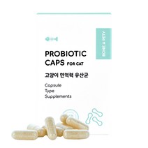 본아페티 고양이 프로바이오틱캡스포캣 60정 구강관리 유산균 아기 설사 변비 알약형태 캡슐