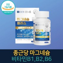 마그네슘 정 비타민 B1 B2 B6 신경 근육 기능 영양제 식약처인증 마그네슘보충제, 1박스, 90정