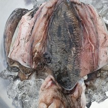국내산 손질 갑오징어(급냉)1kg 3~4미내외/손질후 750g내외