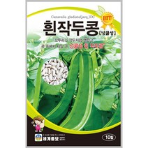 흰작두콩(넝쿨) 10립/ 넝쿨성 작두콩 씨앗 종자 주말농장 베란다텃밭