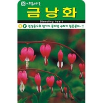 구하기힘든 금낭화 씨앗(20립)(A0717)