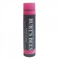 버츠비 틴티드 립밤 4.25g 6가지 종류 택1, 데이지