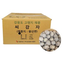 두백씨감자 20kg 강원도 보증종자, 단품