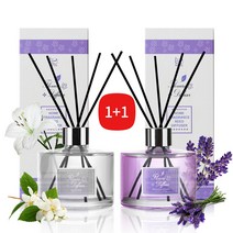 플로너스 레인보우 디퓨저 200ml 2개, 시트러스라임