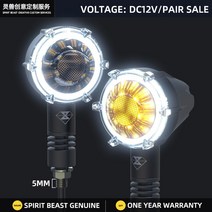 Spirit Beast-레트로 LED 바이크 오토바이 방향지시등 Daelim Hyosung BMW 스즈키 가와사키 혼다 CB1000R CM 500 CB1100 유니버설 테일 깜빡이, 01 White light