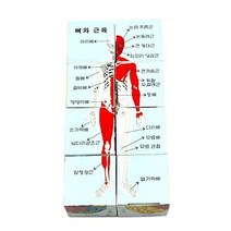 인체모형 사각퍼즐 만들기재료 세트 공작 공예 학교준