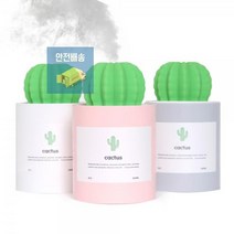 BD 가습기_책상위_미니_USB_코튼필터_선인장_화분가습기 CB40 BD, 상세페이지 참조