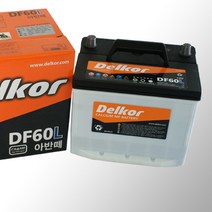 델코 DF60L.R, DF60L_공구대여안함_폐전지반납(수령후3~5일내 택배수거), 100개