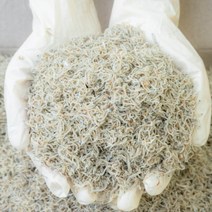 오늘의바다 국산 햇 아기멸치 밥멸치 (당해 생산) 세세멸치, 1kg(지퍼백)