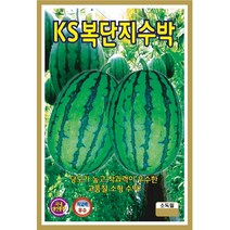 씨앗 복단지수박 10립