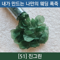 내가 만드는 나만의 플라워샤워 폭죽 [웨딩폭죽 플라워샤워폭죽 공기압폭죽), 51. 진그린
