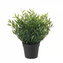 이케아 FEJKA 페이카 인조식물 실내외겸용 금사초 9cm 404.339.40