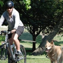 강아지 자전거 리드줄 산책줄 안전 거리 애견 라이딩, 단품