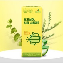 보고싶어 지금나올래 차전자피식이섬유 변비직빵 환 쾌변 장청소(6.5g x 4포)