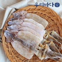 [우리바다애]국내산 마른오징어(중) 10미 (600g 내외), 단품