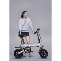 BAIYCLE 전동 전기 접이식 자전거 PAS전기자전거 미니 소형 초경량 12인치, 36V, B배터리7.8AH50km
