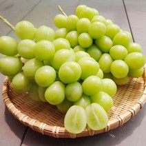 [계절식탁] 김천 샤인머스켓 3-4년생 달콤한 망고포도 청포도, 1kg (1~2수 특품)