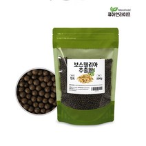 보스웰리아 추출환 500g 3팩 건강환