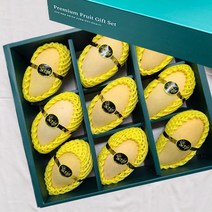 [항공수입] 프루틴 고당도 태국 골드망고 선물세트, 1박스, 태국망고선물세트9과 (3KG내외)