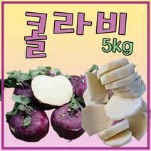 최상품 콜라비 달달하고 다이어트에 좋은 자주색 제주도 콜라비 5kg