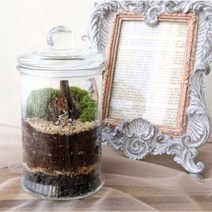 [DIY] 밀폐형 캔들 이끼 테라리움만들기 키트 공기정화