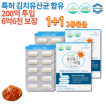 식약처인증 홈쇼핑 약국 프로바이오 신바이오 틱스 스 틱스 50대 60대 70대 장건강 어르신 노인 임산부 수유부 락토바실 락토바실러스 불가리쿠스 특허 김치 유산균 캡슐 2통 묶음, 500mg 60캡슐 x 2통묶음