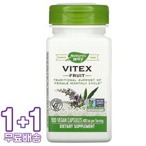 네이처스웨이 바이텍스 프루트 400mg 비건 100캡슐 2통, 1개, 기본