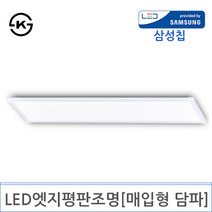 LED 엣지평판조명 1200X300 [매입형 담파](DY-114), 40W 6500K주광색 KS