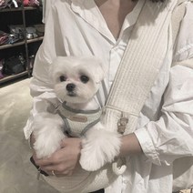 강아지가방 강아지슬링백 고양이 이동가방 포대기 아기띠