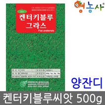 켄터키 블루 그라스 500g/ 정원 경기장 양 잔디 씨앗, 켄터키블루그라스500g