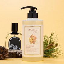 제이엠솔루션라이프 진저 우드 헤어 퍼퓸 샴푸 500ml, 9개