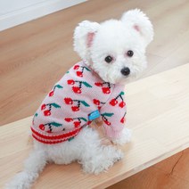 강아지 옷 니트 레이스 공주 고양이 애견 드레스 봄 올인원 반려동물 가을 예쁜 의류 원피스, 앵두 스웨터