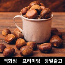 [특등급] 밤 10kg 공주밤 햇밤 옥광밤 약밤 군밤만들기 약단밤 칼집약단밤 칼집밤 군밤 밤도매 공주알밤 공주옥광밤 공주정안밤 정안밤 생밤 밤나무 생율밤 밤구매 맛밤 생율충주밤