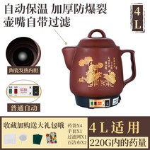 약탕기 액기스 한약 보약 온열차 전기 사과즙 중탕기, 단일사이즈, B