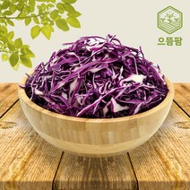 으뜸팜 적양배추 샐러드 600g